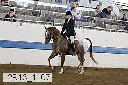 12r13_1107 proof