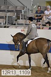 12r13_1109 proof