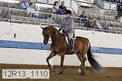 12r13_1110 proof