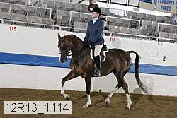 12r13_1114 proof