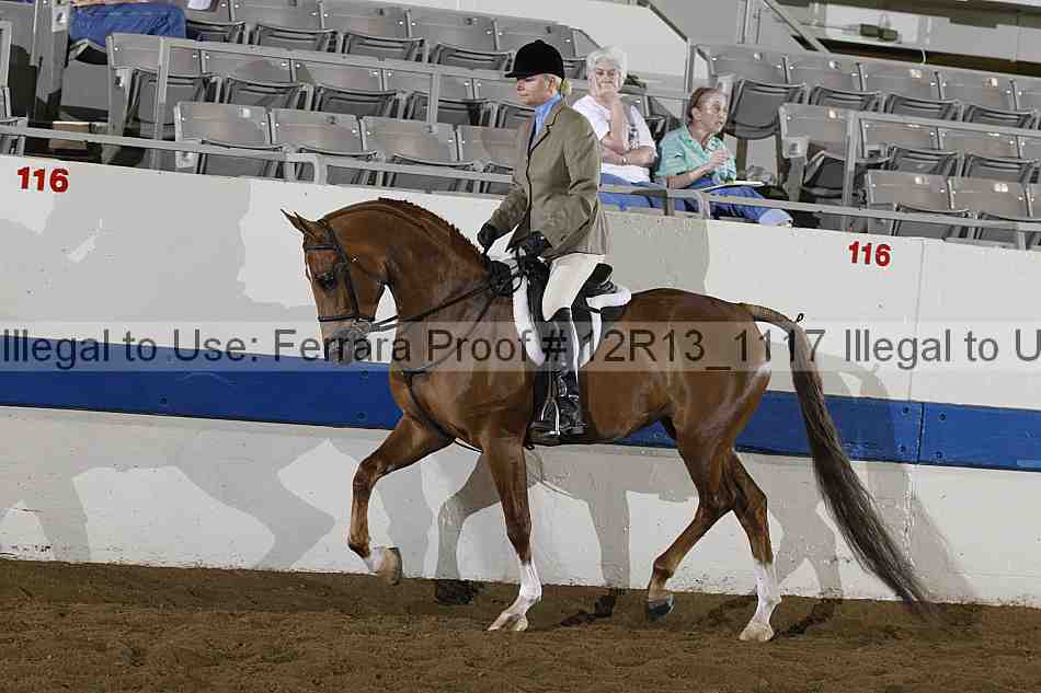Proof 12r13_1117