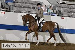12r13_1117 proof