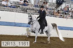 12r13_1161 proof