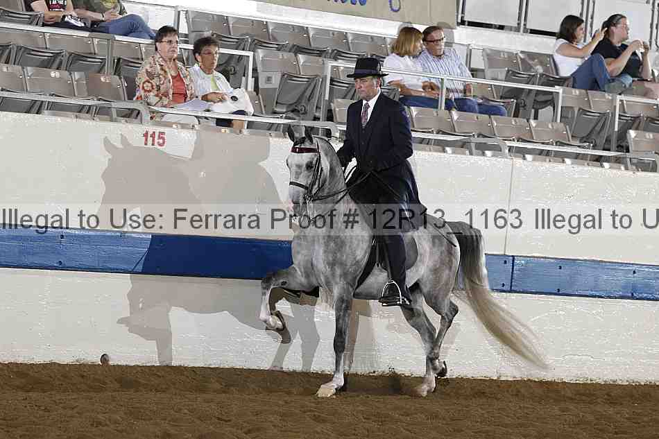 Proof 12r13_1163