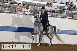 12r13_1163 proof