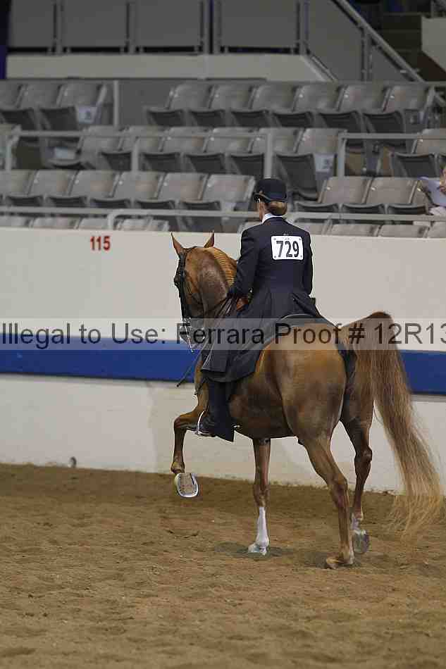 Proof 12r13_1165