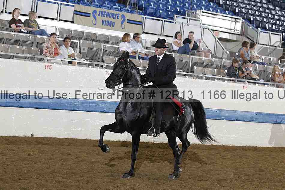 Proof 12r13_1166