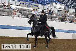 12r13_1166 proof