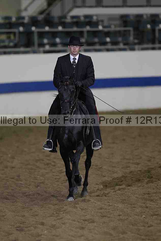 Proof 12r13_1175