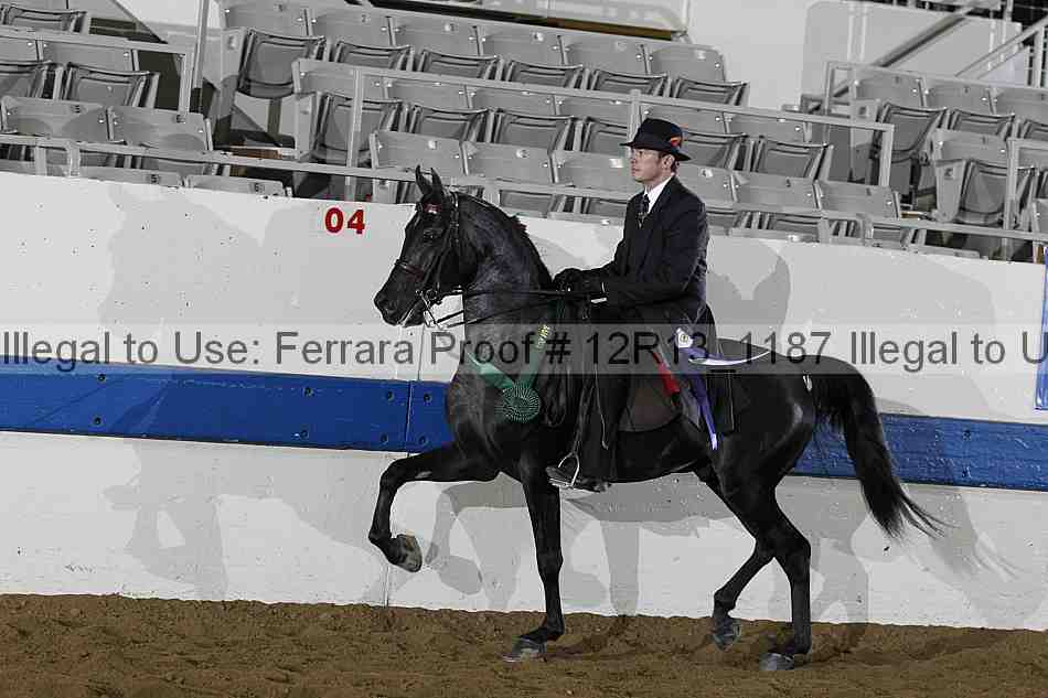 Proof 12r13_1187