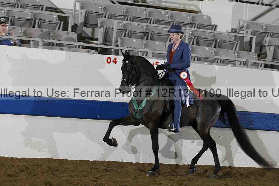 Proof 12r13_1190