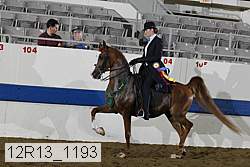12r13_1193 proof