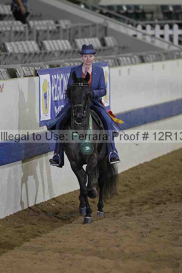 Proof 12r13_1196