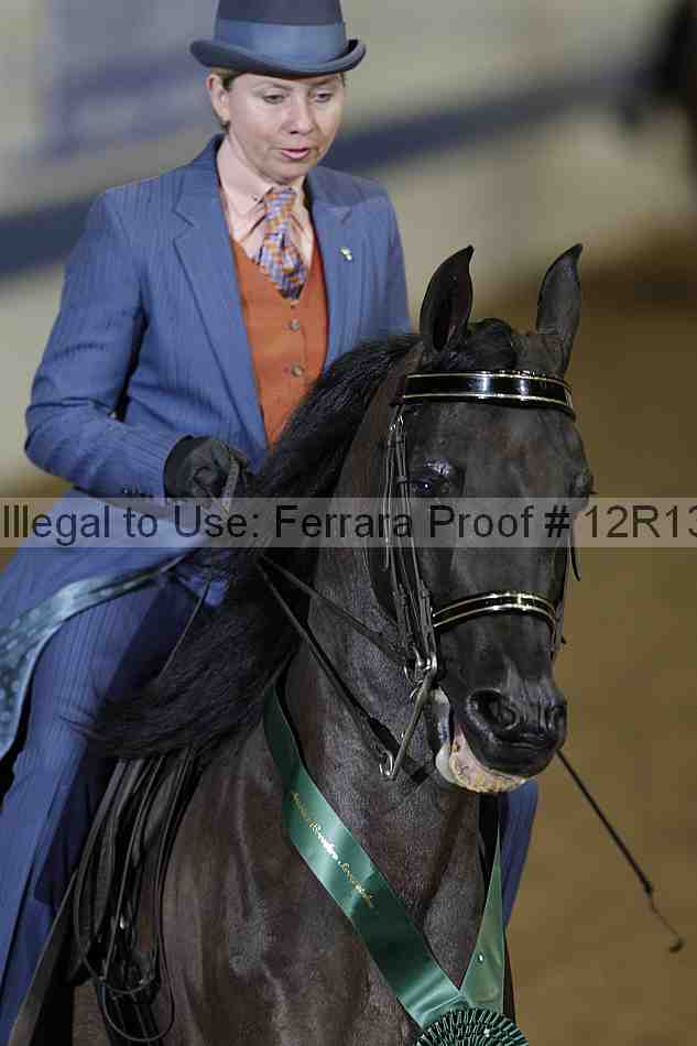 Proof 12r13_1197