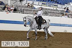 12r13_1203 proof