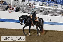 12r13_1205 proof