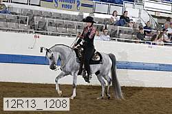 12r13_1208 proof