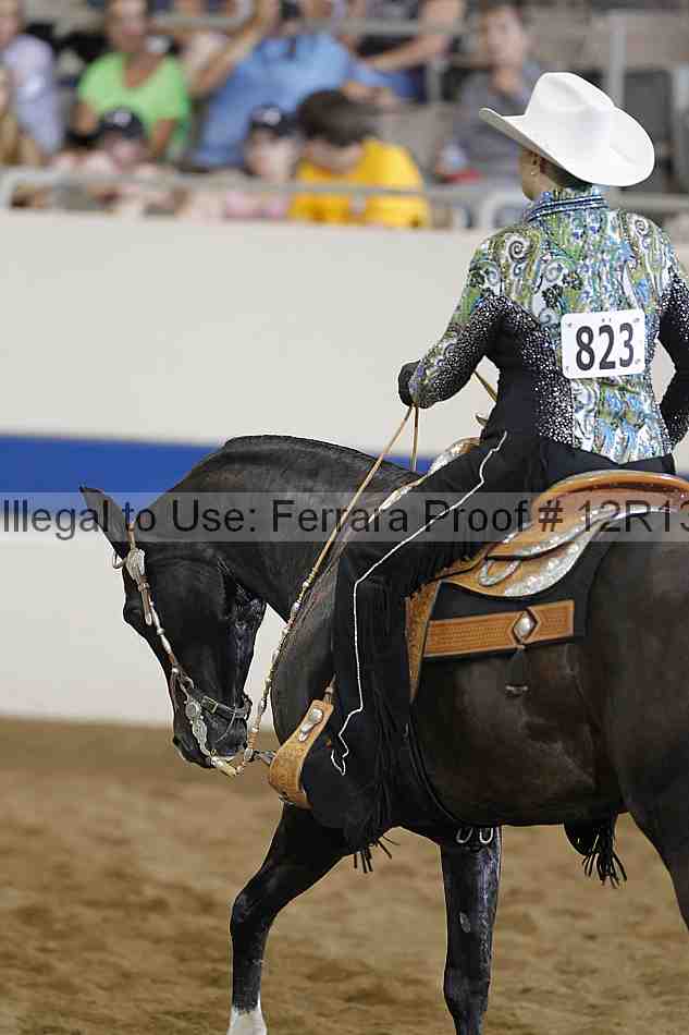 Proof 12r13_1209
