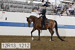 12r13_1212 proof