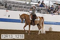 12r13_1218 proof