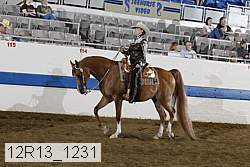 12r13_1231 proof