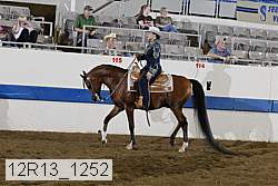 12r13_1252 proof