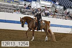 12r13_1254 proof