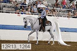 12r13_1264 proof