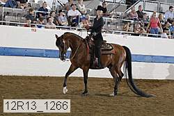 12r13_1266 proof