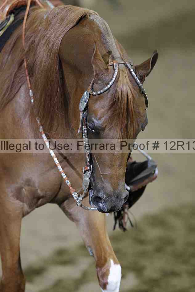Proof 12r13_1290