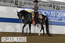 12r13_1302 proof