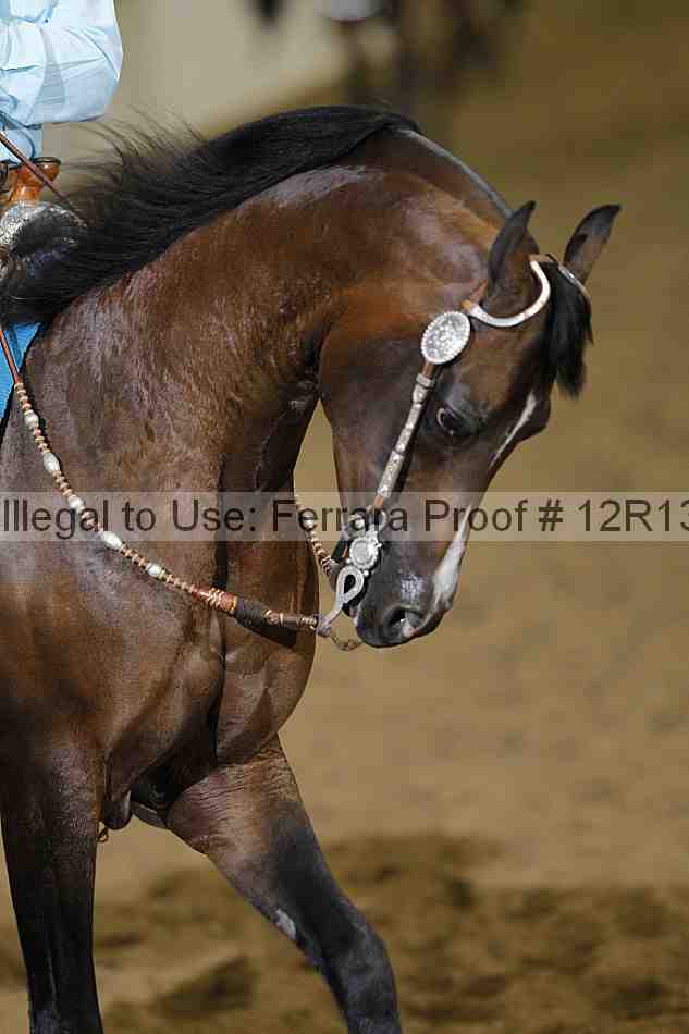 Proof 12r13_1307