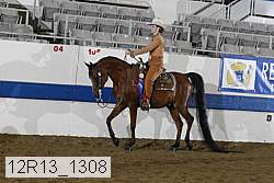 12r13_1308 proof