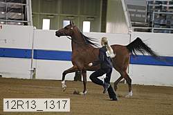 12r13_1317 proof