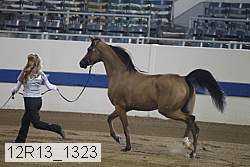 12r13_1323 proof