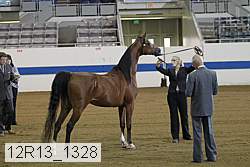 12r13_1328 proof