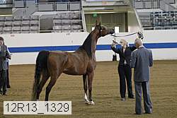 12r13_1329 proof