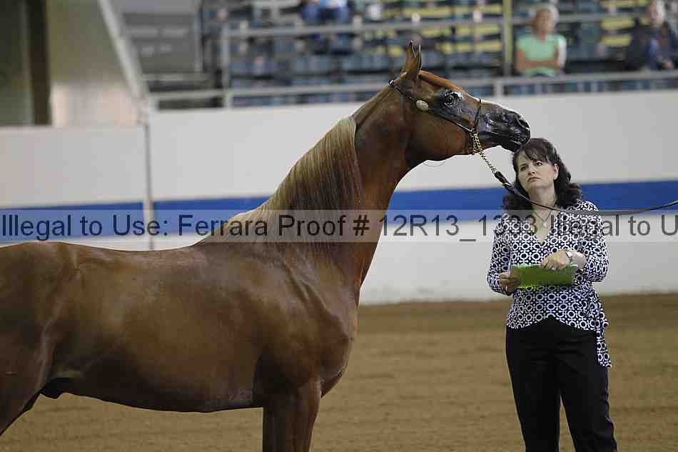 Proof 12r13_1333