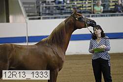 12r13_1333 proof