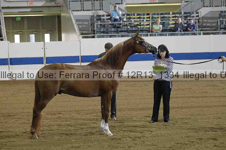 Proof 12r13_1334