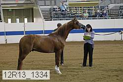 12r13_1334 proof