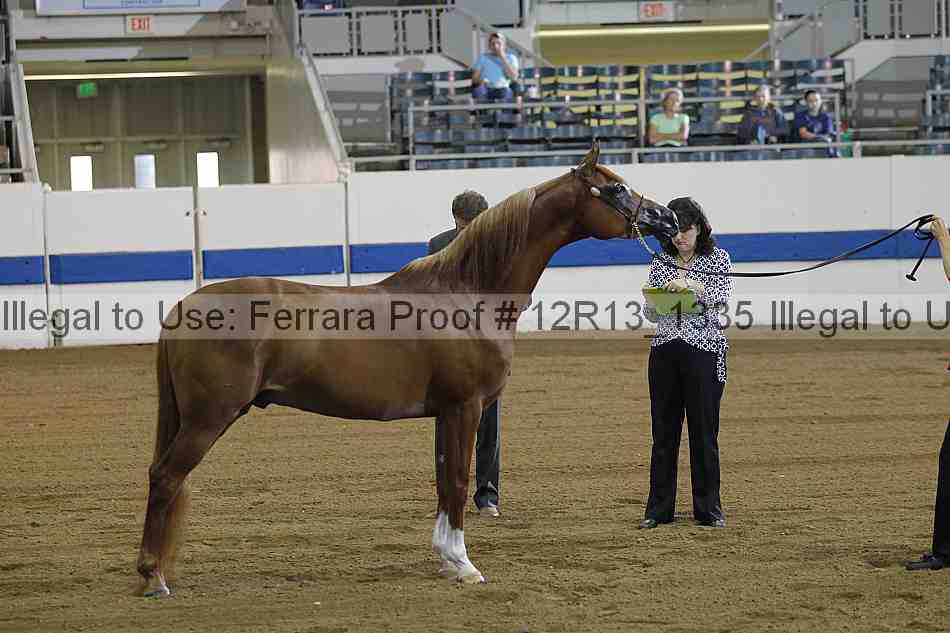 Proof 12r13_1335