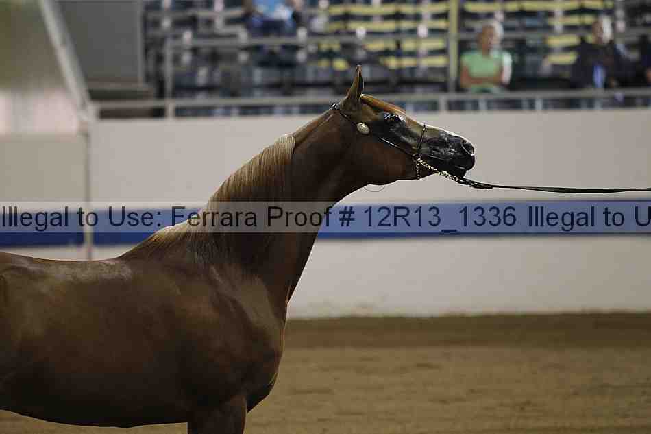 Proof 12r13_1336