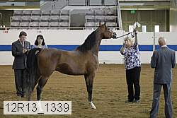 12r13_1339 proof