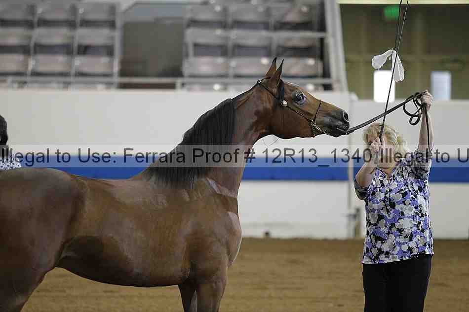 Proof 12r13_1340