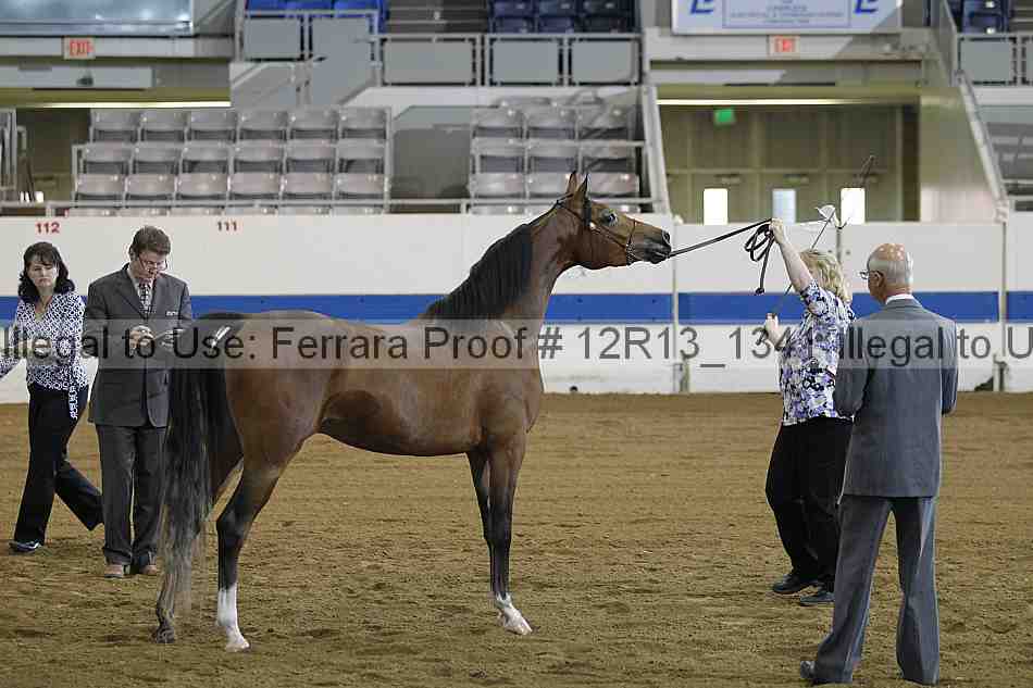 Proof 12r13_1341