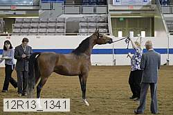 12r13_1341 proof