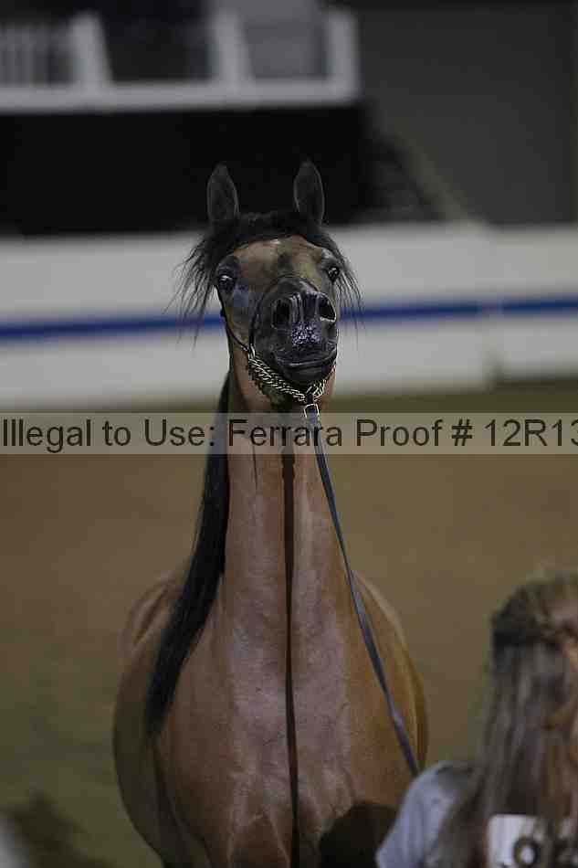 Proof 12r13_1342