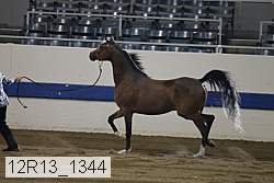 12r13_1344 proof