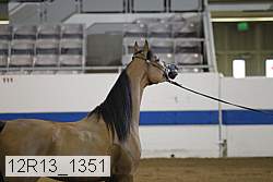 12r13_1351 proof